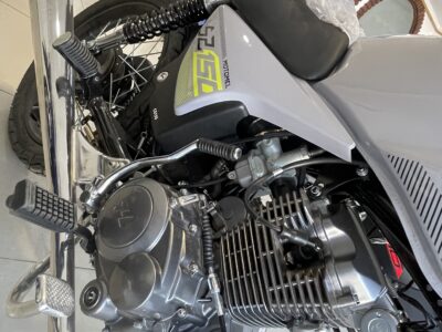 1068633196-    Motomel S2 150 completo