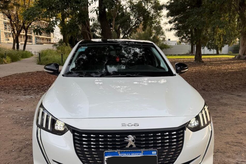 1763651750-Peugeot 208 completo